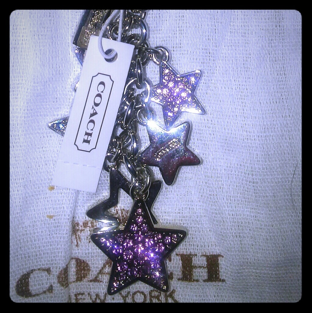 Coach keychain